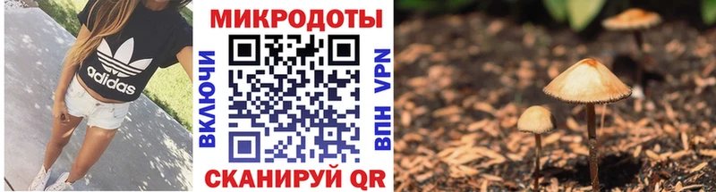 Купить  Суздаль  Галлюциногенные грибы GOLDEN TEACHER 